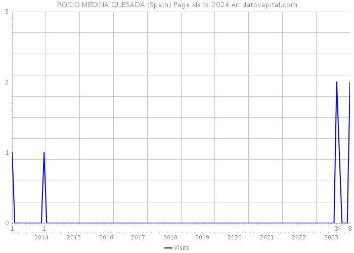 ROCIO MEDINA QUESADA (Spain) Page visits 2024 
