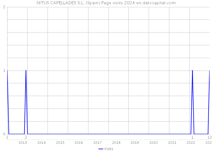 NITUS CAPELLADES S.L. (Spain) Page visits 2024 