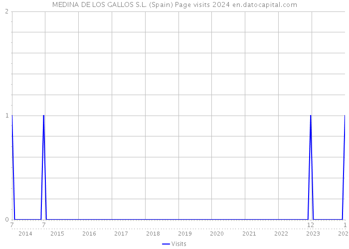 MEDINA DE LOS GALLOS S.L. (Spain) Page visits 2024 