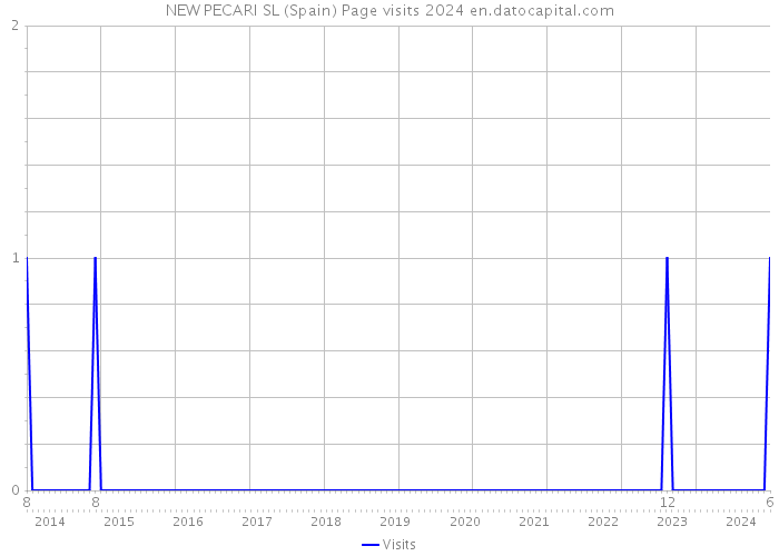 NEW PECARI SL (Spain) Page visits 2024 