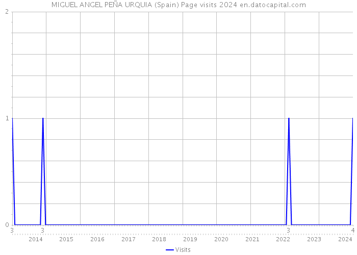 MIGUEL ANGEL PEÑA URQUIA (Spain) Page visits 2024 
