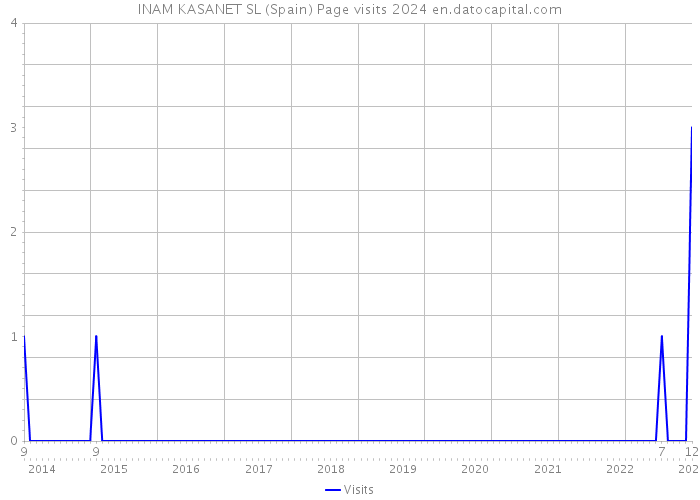INAM KASANET SL (Spain) Page visits 2024 