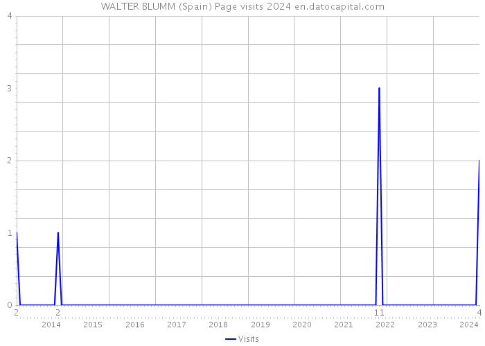 WALTER BLUMM (Spain) Page visits 2024 
