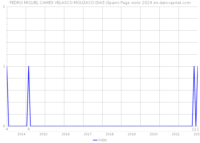 PEDRO MIGUEL CAMES VELASCO MOUZACO DIAS (Spain) Page visits 2024 