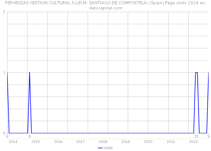 FERVENZAS XESTION CULTURAL S L(R.M. SANTIAGO DE COMPOSTELA) (Spain) Page visits 2024 