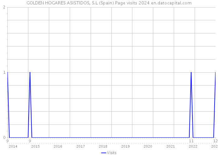 GOLDEN HOGARES ASISTIDOS, S.L (Spain) Page visits 2024 