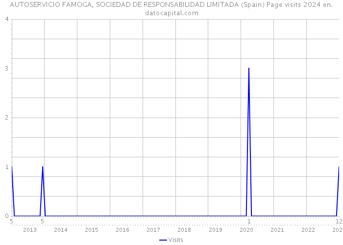 AUTOSERVICIO FAMOGA, SOCIEDAD DE RESPONSABILIDAD LIMITADA (Spain) Page visits 2024 