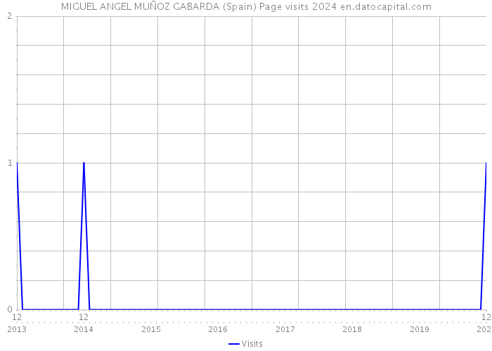 MIGUEL ANGEL MUÑOZ GABARDA (Spain) Page visits 2024 