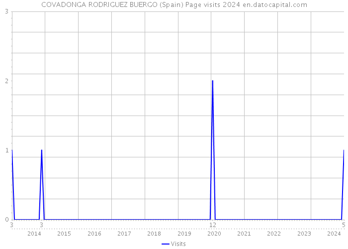 COVADONGA RODRIGUEZ BUERGO (Spain) Page visits 2024 