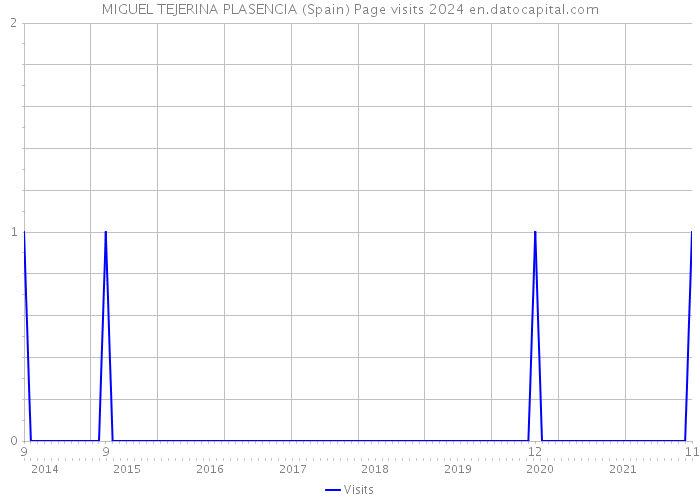 MIGUEL TEJERINA PLASENCIA (Spain) Page visits 2024 