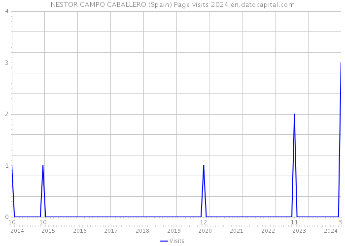 NESTOR CAMPO CABALLERO (Spain) Page visits 2024 