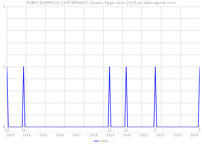 RUBIO DOMINGO CASTARNADO (Spain) Page visits 2024 