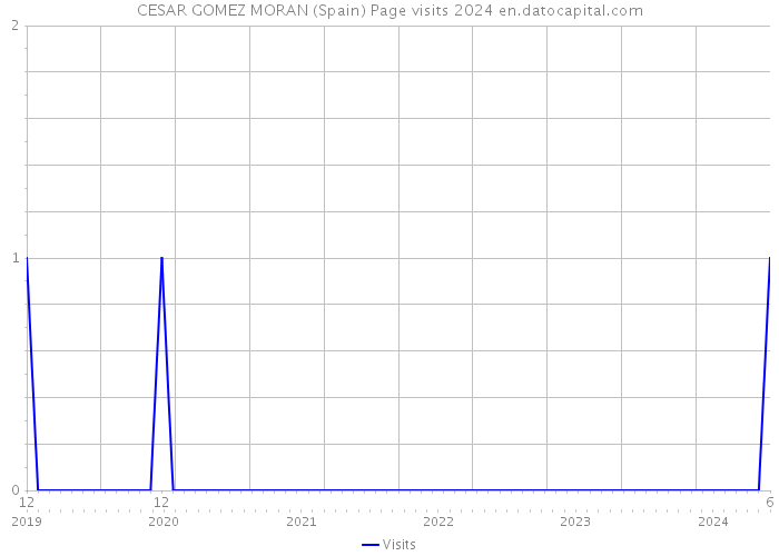 CESAR GOMEZ MORAN (Spain) Page visits 2024 