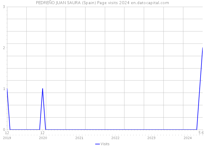 PEDREÑO JUAN SAURA (Spain) Page visits 2024 