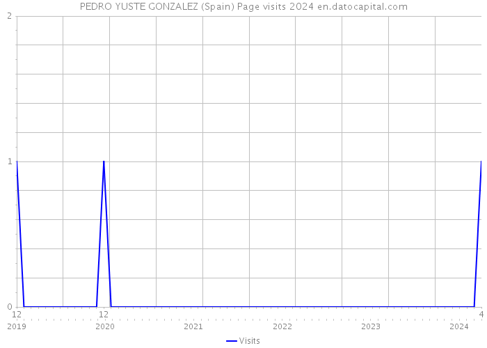 PEDRO YUSTE GONZALEZ (Spain) Page visits 2024 