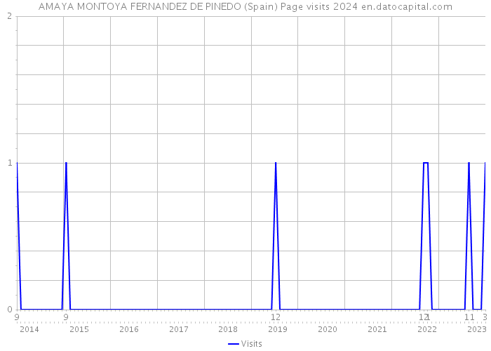 AMAYA MONTOYA FERNANDEZ DE PINEDO (Spain) Page visits 2024 