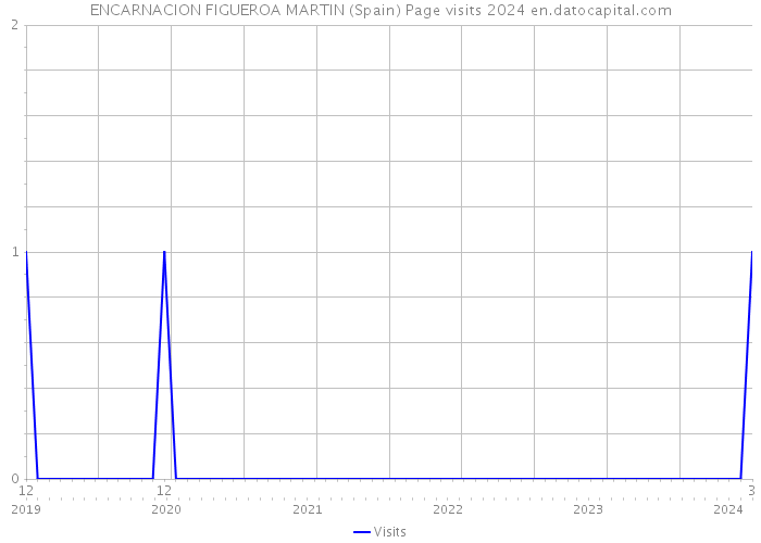 ENCARNACION FIGUEROA MARTIN (Spain) Page visits 2024 