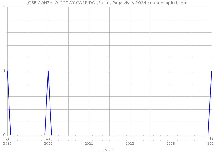 JOSE GONZALO GODOY GARRIDO (Spain) Page visits 2024 