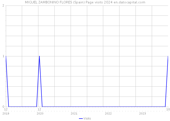 MIGUEL ZAMBONINO FLORES (Spain) Page visits 2024 