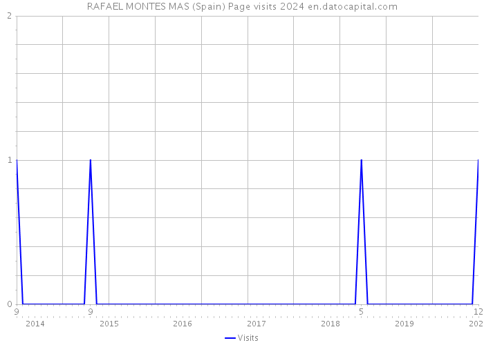RAFAEL MONTES MAS (Spain) Page visits 2024 