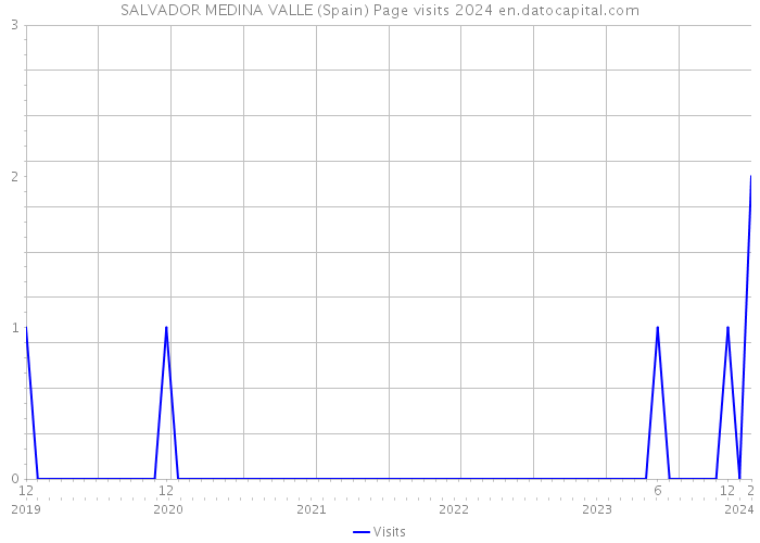 SALVADOR MEDINA VALLE (Spain) Page visits 2024 