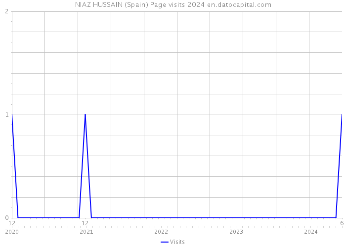 NIAZ HUSSAIN (Spain) Page visits 2024 