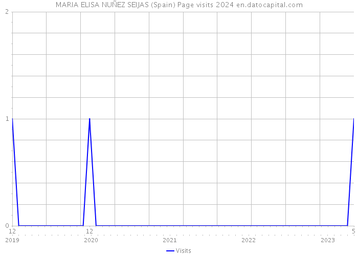 MARIA ELISA NUÑEZ SEIJAS (Spain) Page visits 2024 