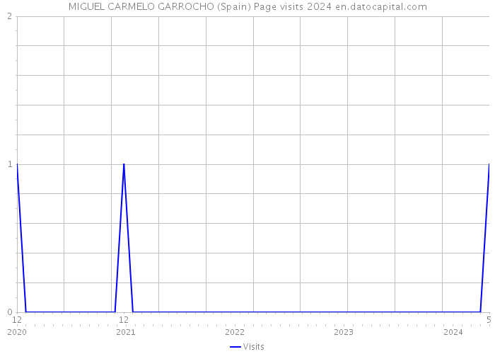 MIGUEL CARMELO GARROCHO (Spain) Page visits 2024 