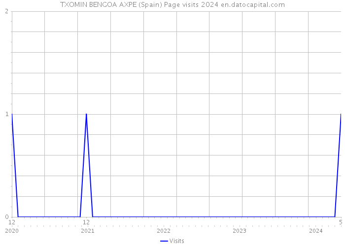 TXOMIN BENGOA AXPE (Spain) Page visits 2024 