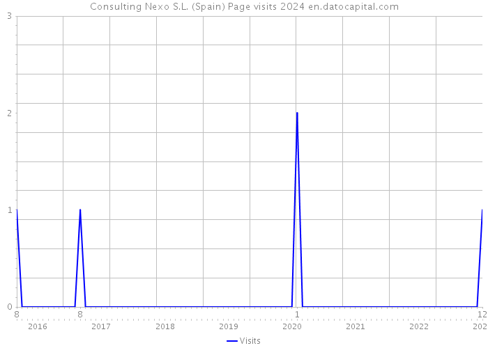 Consulting Nexo S.L. (Spain) Page visits 2024 