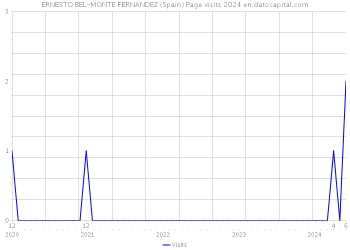 ERNESTO BEL-MONTE FERNANDEZ (Spain) Page visits 2024 