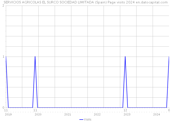 SERVICIOS AGRICOLAS EL SURCO SOCIEDAD LIMITADA (Spain) Page visits 2024 