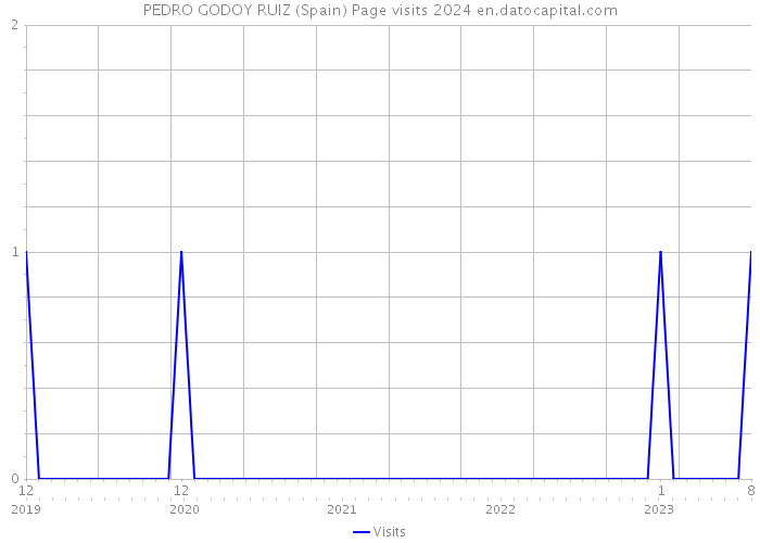 PEDRO GODOY RUIZ (Spain) Page visits 2024 