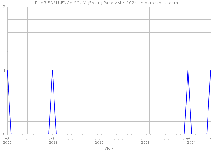 PILAR BARLUENGA SOUM (Spain) Page visits 2024 