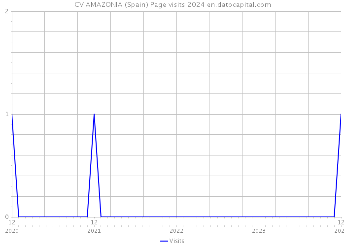 CV AMAZONIA (Spain) Page visits 2024 