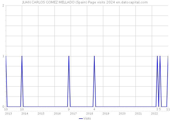 JUAN CARLOS GOMEZ MELLADO (Spain) Page visits 2024 