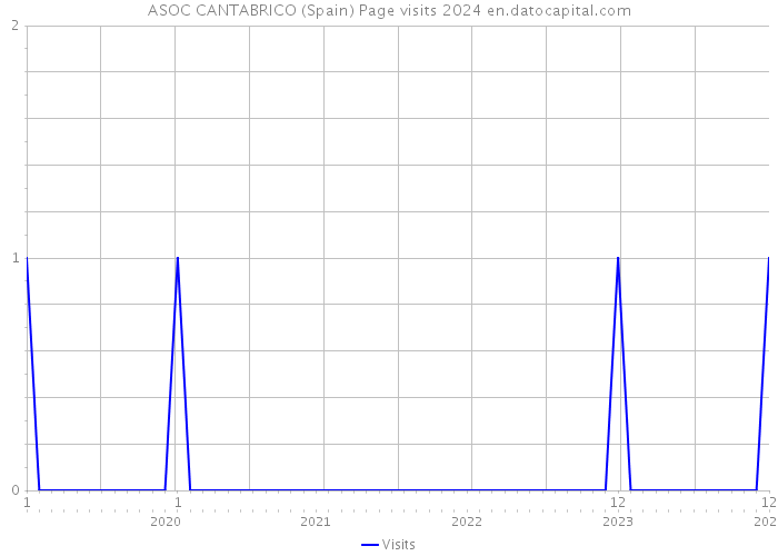 ASOC CANTABRICO (Spain) Page visits 2024 