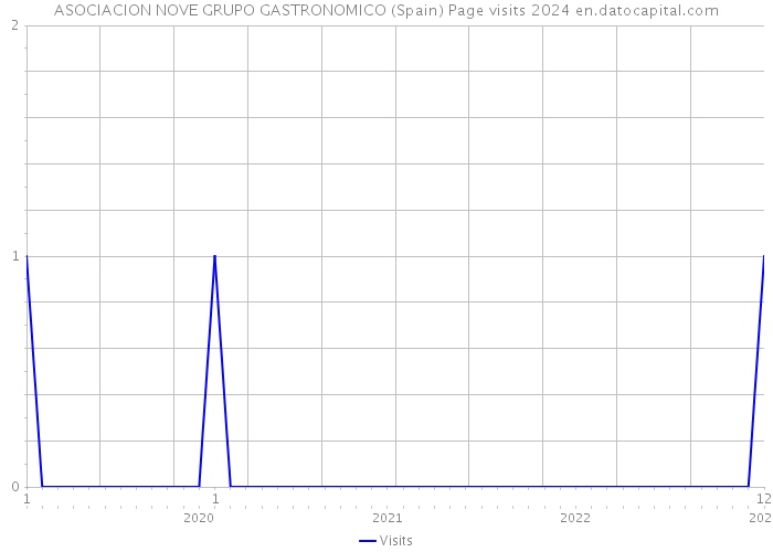 ASOCIACION NOVE GRUPO GASTRONOMICO (Spain) Page visits 2024 