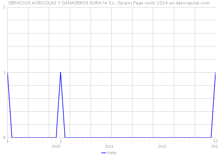 SERVICIOS AGRICOLAS Y GANADEROS SORAYA S.L. (Spain) Page visits 2024 