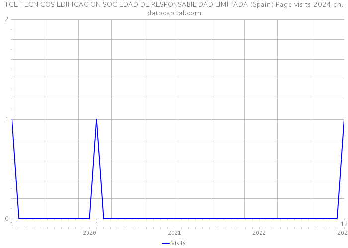 TCE TECNICOS EDIFICACION SOCIEDAD DE RESPONSABILIDAD LIMITADA (Spain) Page visits 2024 