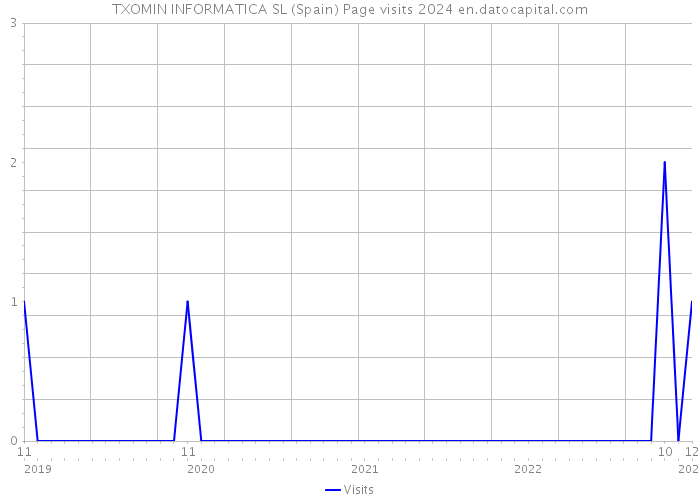 TXOMIN INFORMATICA SL (Spain) Page visits 2024 