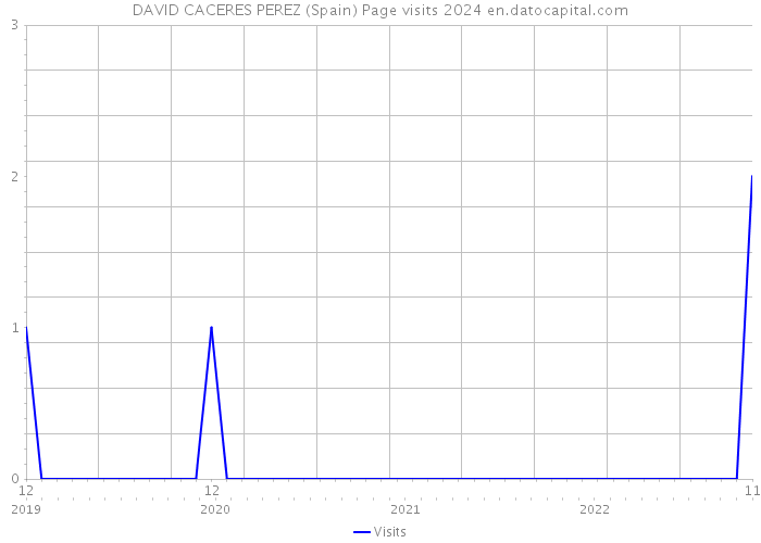DAVID CACERES PEREZ (Spain) Page visits 2024 