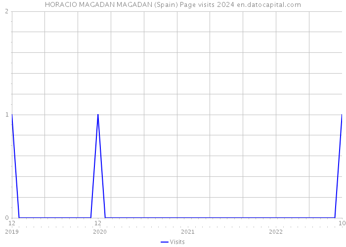 HORACIO MAGADAN MAGADAN (Spain) Page visits 2024 