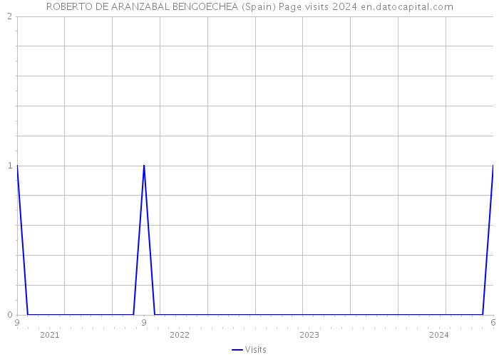ROBERTO DE ARANZABAL BENGOECHEA (Spain) Page visits 2024 