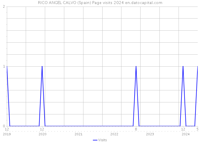 RICO ANGEL CALVO (Spain) Page visits 2024 