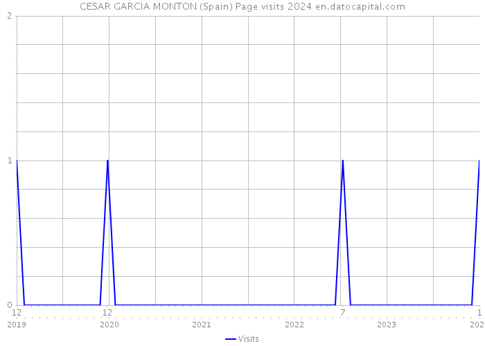 CESAR GARCIA MONTON (Spain) Page visits 2024 