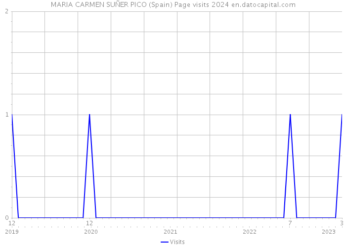 MARIA CARMEN SUÑER PICO (Spain) Page visits 2024 