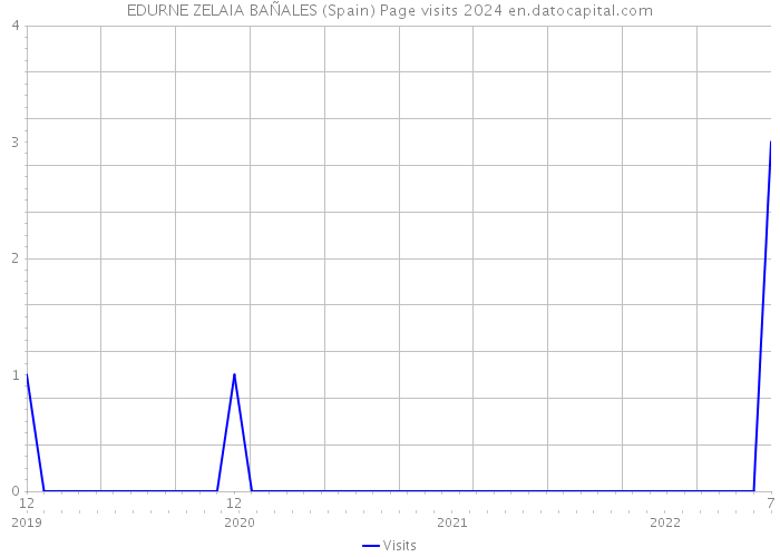 EDURNE ZELAIA BAÑALES (Spain) Page visits 2024 