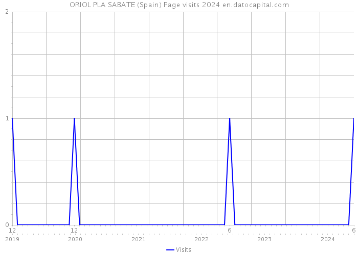 ORIOL PLA SABATE (Spain) Page visits 2024 