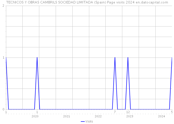 TECNICOS Y OBRAS CAMBRILS SOCIEDAD LIMITADA (Spain) Page visits 2024 